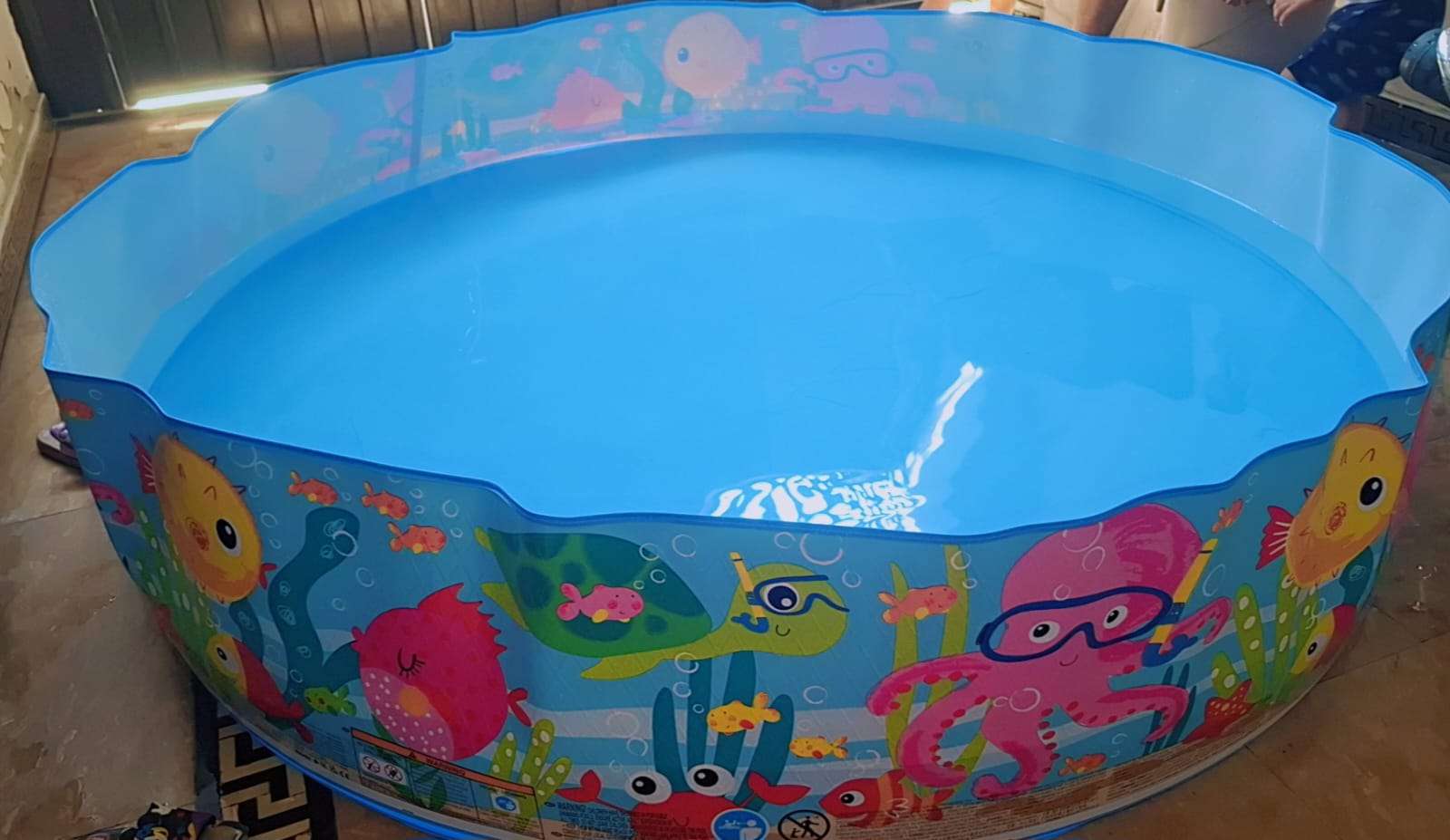 6ft Ocean Play Adventure Snap Set Pool (72in x 15in)