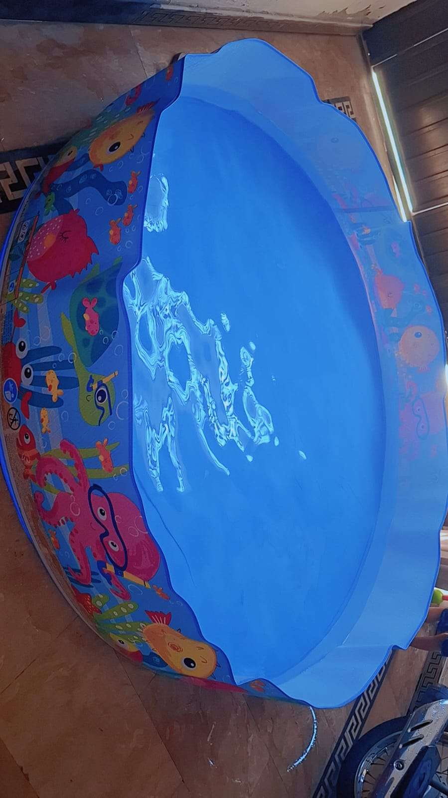6ft Ocean Play Adventure Snap Set Pool (72in x 15in)
